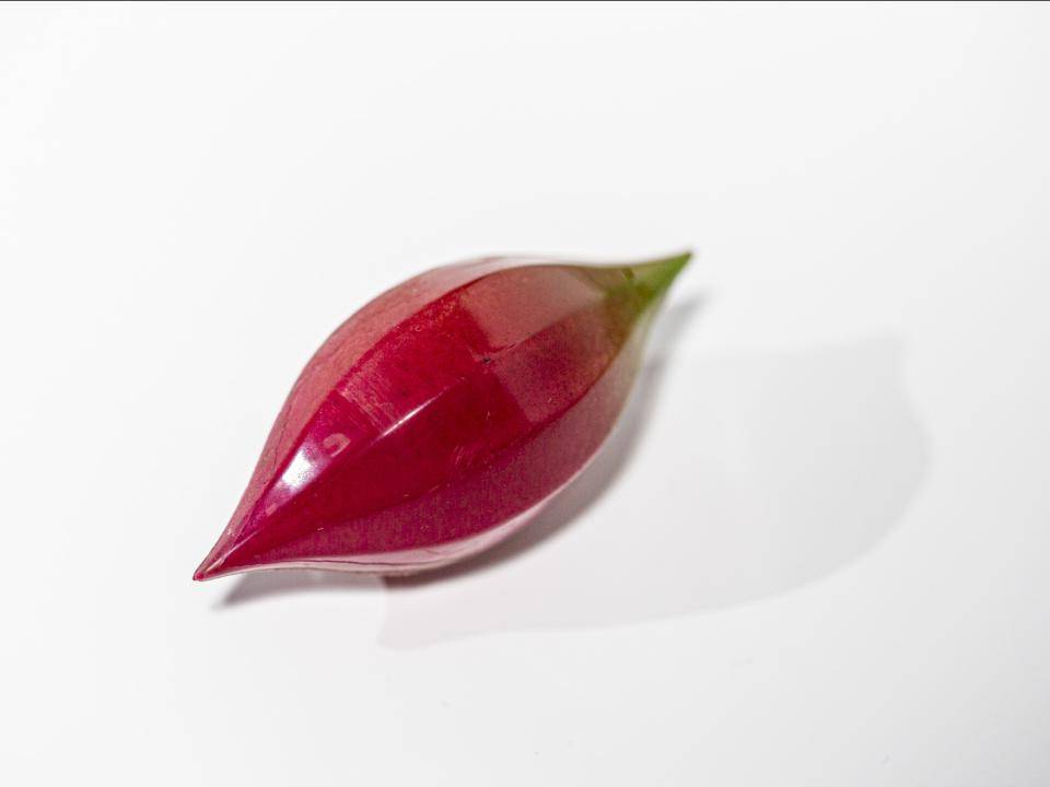 bonbon
