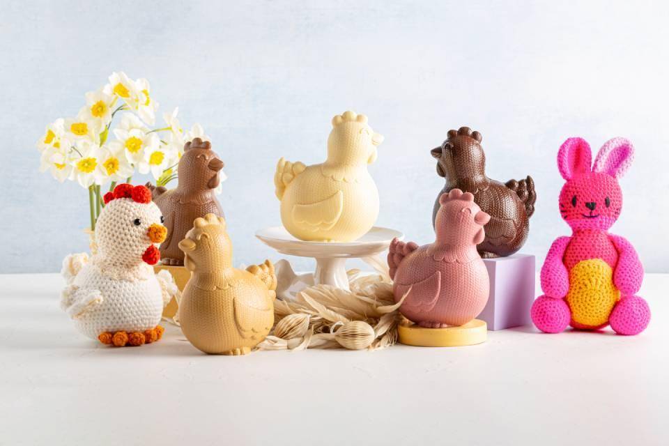 Poules tricot