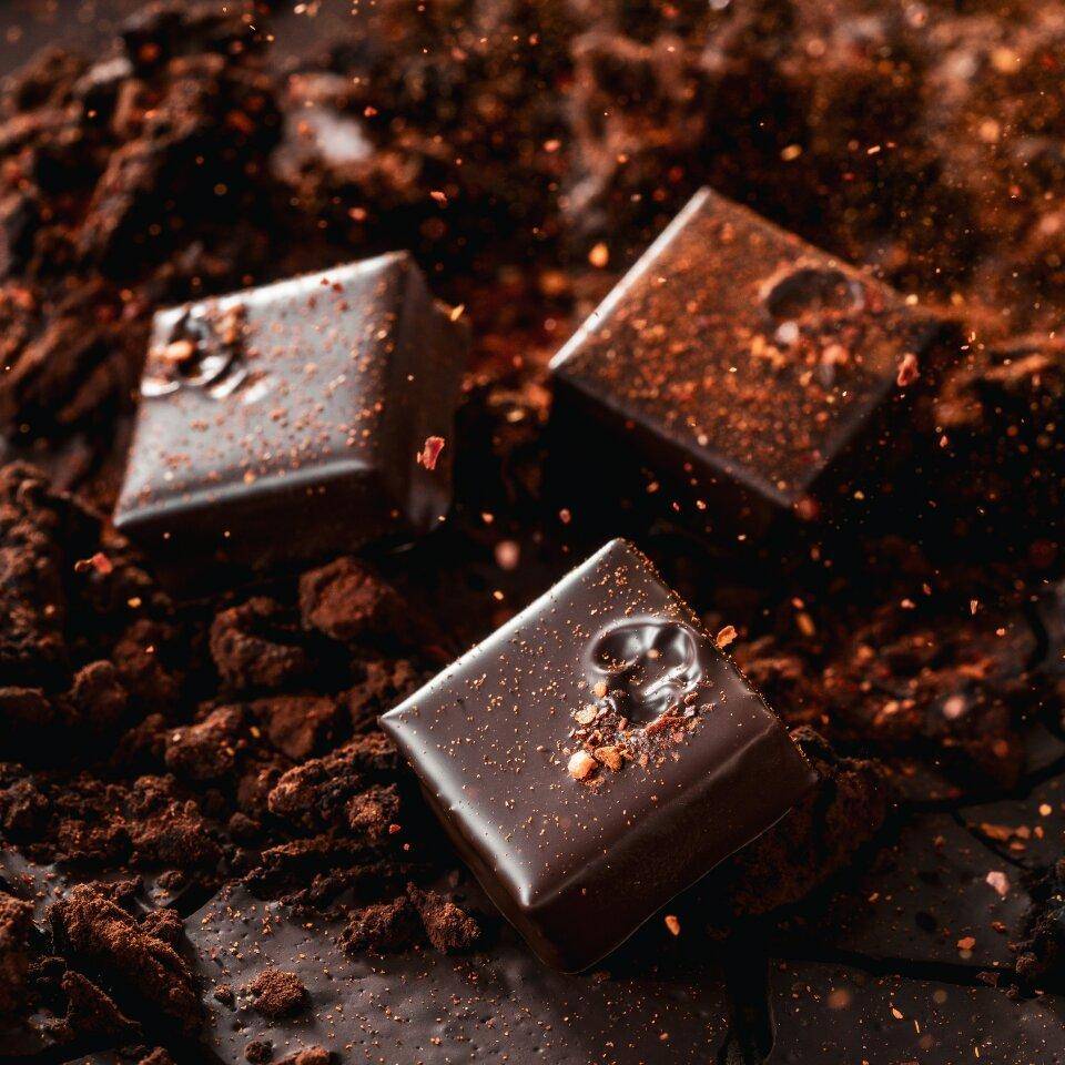 Pieces of gourmet chocolate
