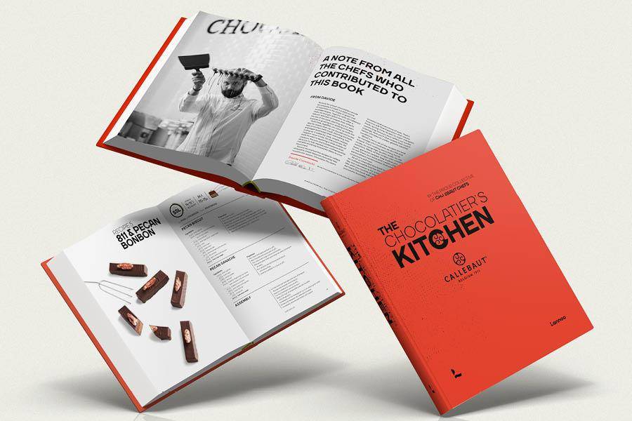 Vous voulez en savoir plus sur le livre ? Cliquez ici pour une explication détaillée.