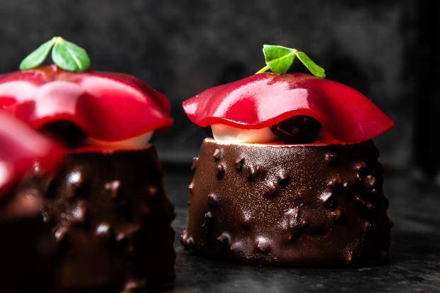black forest