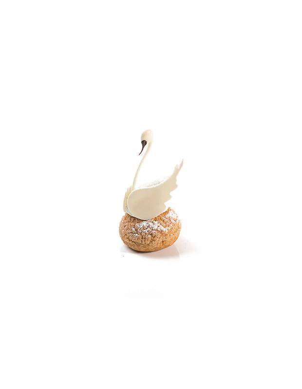 swan choux
