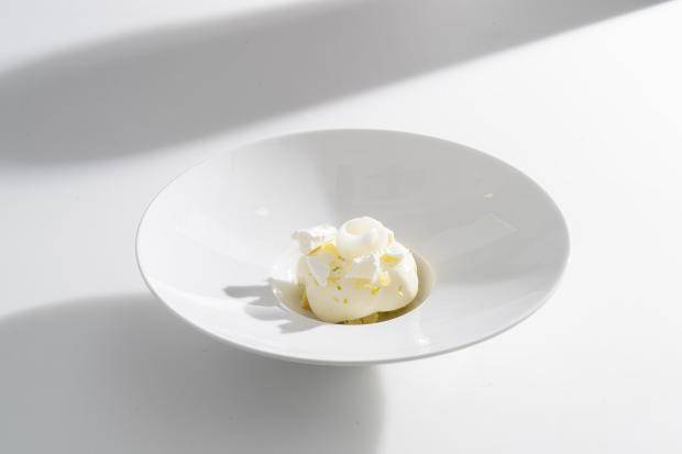 lemon zephyr