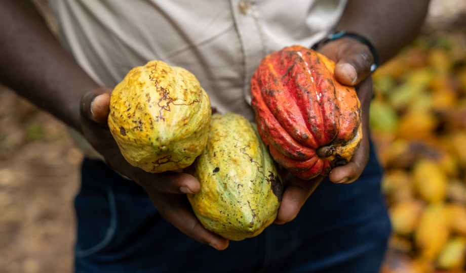 West Africa: cocoa body, rounded sweetness, roasted depth.