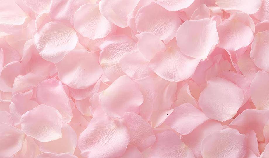 Florals pairings Ruby RB2