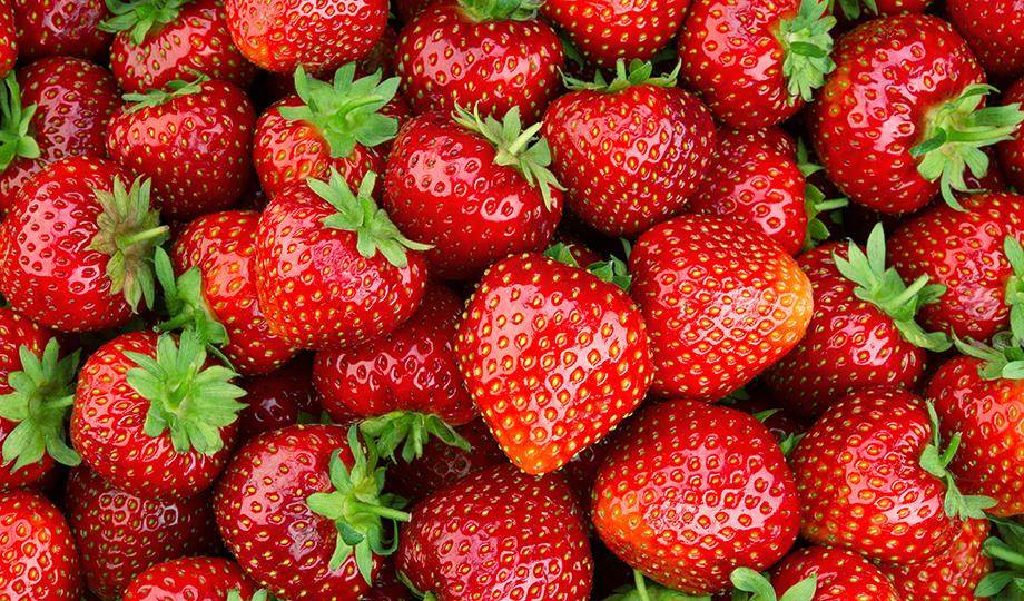 fruits flavour pairing
