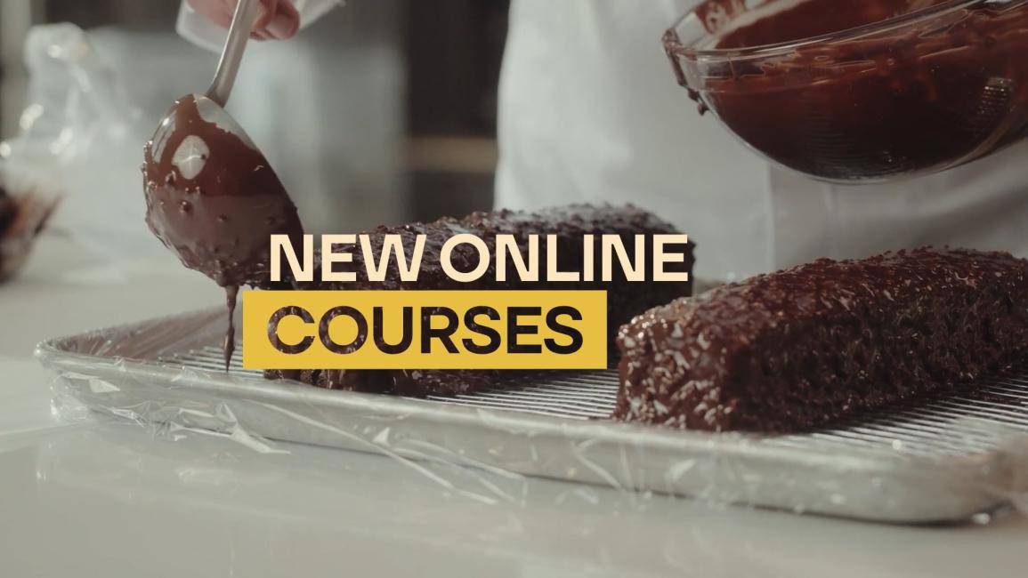 Online Courses Trailer