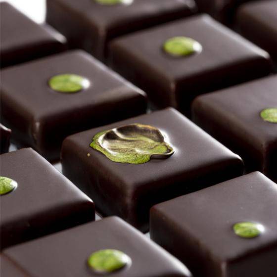 Cacao Barry Plant Based Bulletin