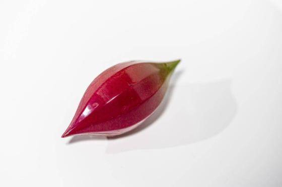 bonbon