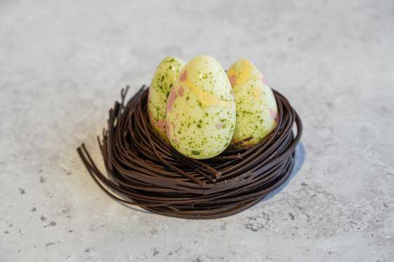 Easter Egg Nest